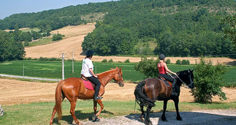 équitation cheval